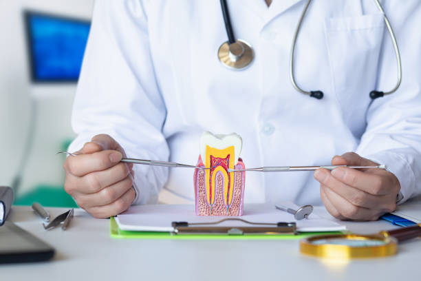 Best Emergency Dental Care for Trauma or Injury in Liberty City, TX